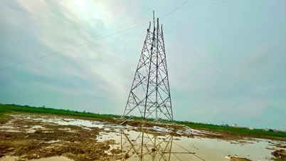 យល់ព្រមផ្តល់សំណងជាមួយដីលំនៅដ្ឋានសម្រាប់ 2 គ្រួសារនៅ Ninh Giang ដែលស្ថិតនៅក្នុងគម្រោងខ្សែបញ្ជូន 500kV Nam Dinh I