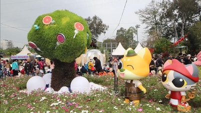 Colorful at the Hong Kong Flower Show (China) in 2024