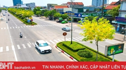 Ha Tinh has 31% of the population living in urban areas.