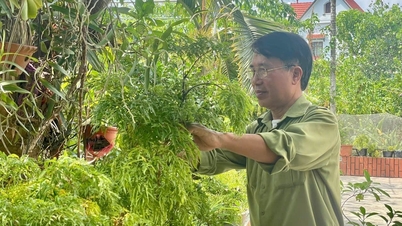 Ông “Sáu Thông” 4 lần viết huyết thư xin ra chiến trường