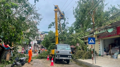 250.000 khách hàng đã có điện sinh hoạt trở lại