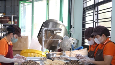 Đặc sản Đắk Nông - Quý hồ tinh, bất quý hồ đa