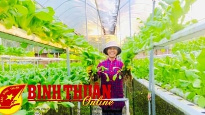 នៅពេលដែលច្បាប់សហករណ៍ឆ្នាំ 2023 ត្រូវបានអនុវត្តចំពោះគំរូសេដ្ឋកិច្ចកសិកម្ម