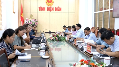 ប្រធានគណៈកម្មាធិការប្រជាជនខេត្ត Le Thanh Do បានធ្វើការជាមួយគណៈប្រតិភូ AFD