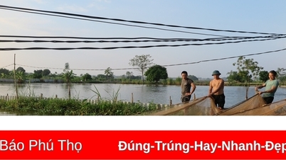 Bổ sung vốn điều lệ cho một số quỹ tài chính Nhà nước ngoài ngân sách và hỗ trợ việc làm