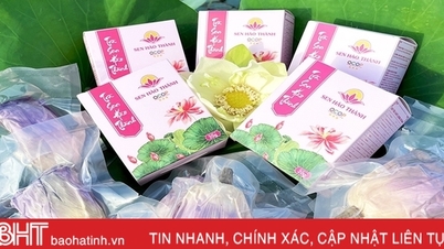 Chương trình OCOP 2023 ở Hà Tĩnh chú trọng sản phẩm chế biến sâu