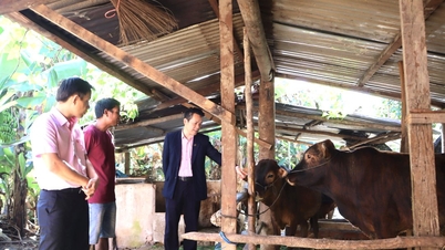 Ngân hàng Chính sách xã hội Việt Nam kiểm tra, giám sát tín dụng ưu đãi theo Nghị quyết 11 tại Đắk Lắk