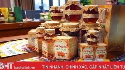 Nghi Xuan មានផលិតផល 3 ទៀតដែលបំពេញតាមស្តង់ដារ OCOP ផ្កាយ 3