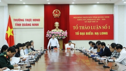 ប្រតិភូក្រុមប្រឹក្សាប្រជាជនខេត្តបានពិភាក្សាលើខ្លឹមសារសំខាន់ៗជាច្រើនជាក្រុម។