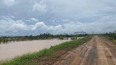 "Dike break in Hai Duong" is false information