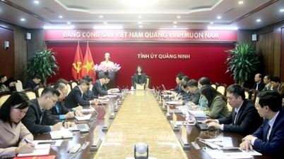 Đồng chí Phó Bí thư Thường trực Tỉnh ủy nghe công tác rà soát, sắp xếp các cơ quan, đơn vị