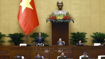 Thông cáo báo chí số 9 Kỳ họp thứ 8, Quốc hội khóa XV