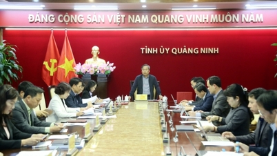 Quảng Ninh quyết tâm vượt mốc tăng trưởng 12% đã đề ra trong năm 2025