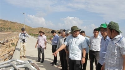 Lãnh đạo UBND tỉnh kiểm tra công tác ứng phó hạn tại huyện Ninh Hải và Thuận Bắc
