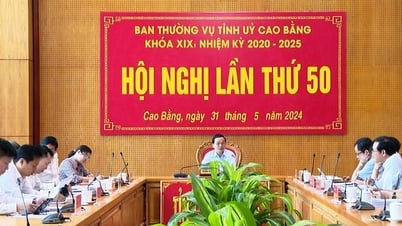 Hội nghị Ban Thường vụ Tỉnh ủy lần thứ 50