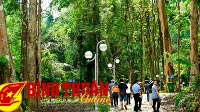 បញ្ហាការសម្រេចចិត្ត។ មេរៀនទី៥
