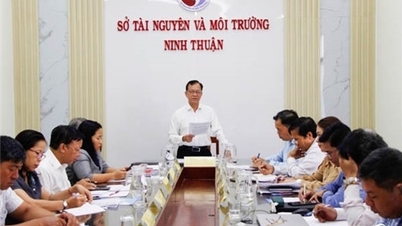 Đoàn giám sát 2034 Tỉnh ủy Làm việc với Đảng bộ Sở Tài nguyên và Môi trường
