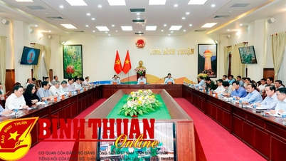 Ham Tan ត្រូវតែផ្តល់អាទិភាពដល់ការកែលម្អគុណភាពបុគ្គលិករបស់ខ្លួន។