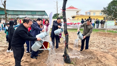 Thanh Ha, Nam Sach exceed tree planting plan