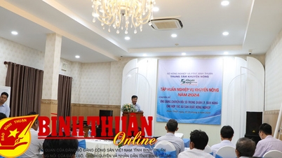 ការអនុវត្តការផ្លាស់ប្តូរឌីជីថលក្នុងការគ្រប់គ្រង និងការលក់សម្រាប់សហករណ៍ផលិតកម្មកសិកម្ម