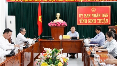 កិច្ចប្រជុំក្រុមមាតិកាបម្រើសន្និសីទដើម្បីប្រកាសផែនការខេត្ត