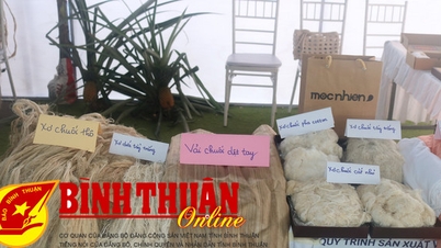 Nguyên liệu thân, bẹ chuối trong tỉnh cung cấp chế biến vải sợi