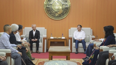 Provincial Party Secretary Tran Quoc Cuong received a working delegation from several Japanese Associations and CICS Company.
