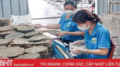 Nghi Xuan មានផលិតផល OCOP លំដាប់ផ្កាយ 3 បន្ថែមទៀត