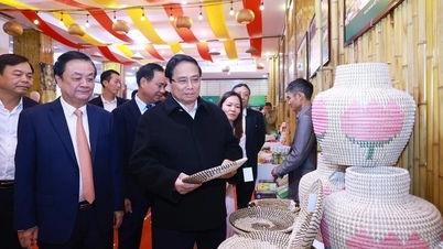 Sự thích ứng kịp thời với xu thế toàn cầu