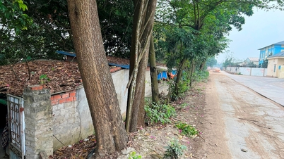 Vì sao nhà bà Xuân ở phường Ái Quốc không được đền bù, hỗ trợ giải phóng mặt bằng?