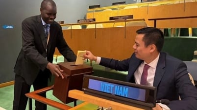 Việt Nam trúng cử Ủy ban Luật Thương mại Quốc tế của Liên hợp quốc