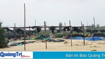 ជំនោរ​បាន​បាក់​ស្រះ​ទឹក​សមុទ្រ​របស់​មនុស្ស​រាប់សិប​កន្លែង។