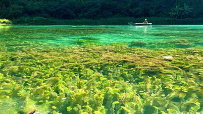 [Photo] Early autumn in Trang An