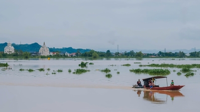 លេខ​២៤ របស់​គណៈកម្មាធិការ​ប្រជាជន​ខេត្ត ផ្តោត​លើ​ការ​អនុវត្ត​ឆ្លើយតប​នឹង​ទឹកជំនន់