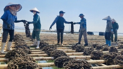 Ngành Nông nghiệp tăng tốc về đích