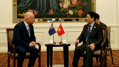 Quan hệ Đối tác Chiến lược Việt Nam-New Zealand ngày càng phát triển - Báo Lạng Sơn: Tin tức mới nhất, chính xác, uy tín