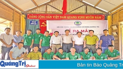 លក់ឥណទានកាបូន សក្តានុពលពីព្រៃឈើរហូតដល់គ្រែស្មៅសមុទ្រ