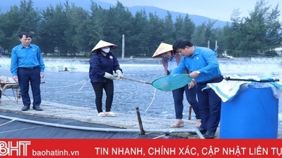 សហជីព និងអាជីវកម្ម Ha Tinh ជំនះការលំបាក