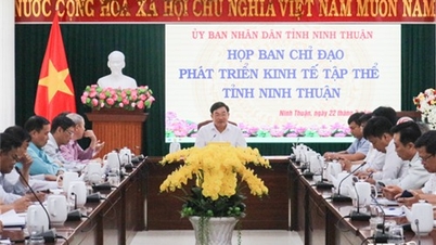 កិច្ចប្រជុំគណៈកម្មាធិការដឹកនាំខេត្ត ដើម្បីអភិវឌ្ឍន៍សេដ្ឋកិច្ចសមូហភាព