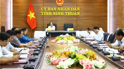การประชุมเบื้องต้นของคณะกรรมการกำกับแห่งชาติว่าด้วยการปราบปรามการทำประมงผิดกฎหมาย ขาดการรายงาน และไร้การควบคุม (IUU)