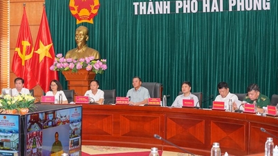 Hội nghị trực tuyến với 28 tỉnh, thành phố ven biển về chống khai thác hải sản bất hợp pháp, không báo cáo và không theo quy định