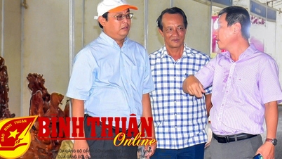 Prêt pour l'exposition « Patrimoine culturel des mers et des îles du Vietnam » et la Semaine de la culture de rue
