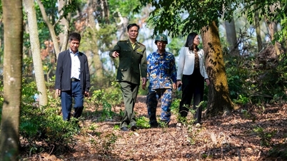 Hai Duong រក្សា​កម្លាំង​ការពារ​និង​ប្រយុទ្ធ​នឹង​ភ្លើង​ឆេះ​ព្រៃ​ក្នុង​អំឡុង​ពេល​ Tet
