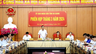 UBND tỉnh họp phiên tháng 3
