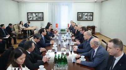 Towards elevating Vietnam-Poland relations to a strategic level