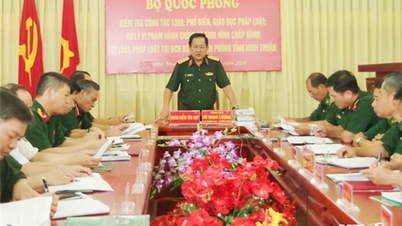 ឧត្តមសេនីយឯក Vo Minh Luong អនុរដ្ឋមន្ត្រីក្រសួងការពារជាតិ បានអញ្ជើញចុះត្រួតពិនិត្យឆ្មាំព្រំដែនខេត្ត Ninh Thuan។