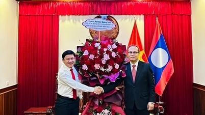 Lãnh đạo Trường Đại học Quảng Nam thăm, chúc mừng Tổng Lãnh sự quán Lào tại TP.Đà Nẵng