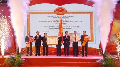 ស្រុក Trieu Phong ទទួលបានមេដាយឯករាជ្យថ្នាក់ទីពីរ និងវិញ្ញាបនបត្រទទួលស្គាល់សម្រាប់ការបំពេញតាមស្តង់ដារជនបទថ្មីឆ្នាំ 2023