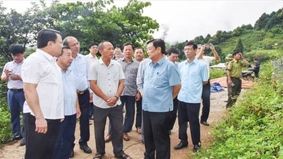 Carbon Credits – A Potential Green Production Trend Bringing Great Revenues in Nghe An
