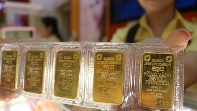 Lại hủy đấu thầu vàng